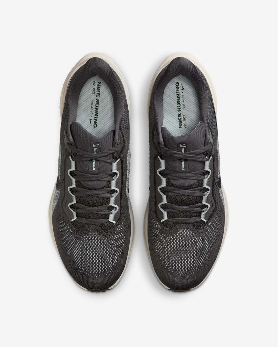 Nike Air Zoom Pegasus 41