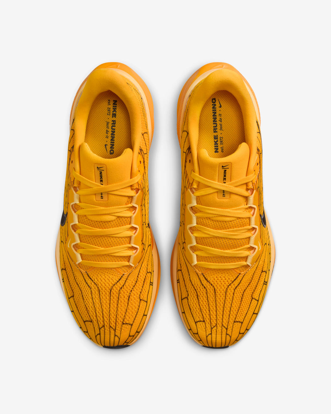 Nike Air Zoom Pegasus 41