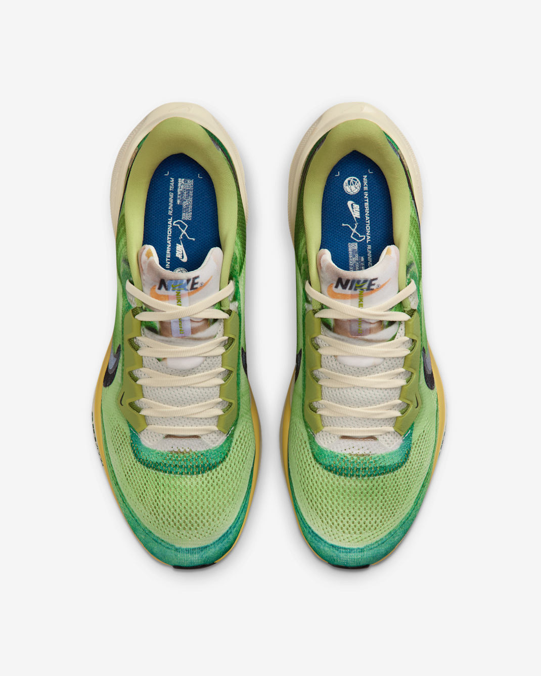 Nike Air Zoom Pegasus 41